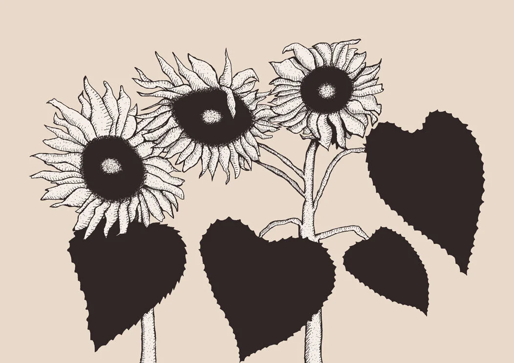 Sunflowers-Behance.jpg