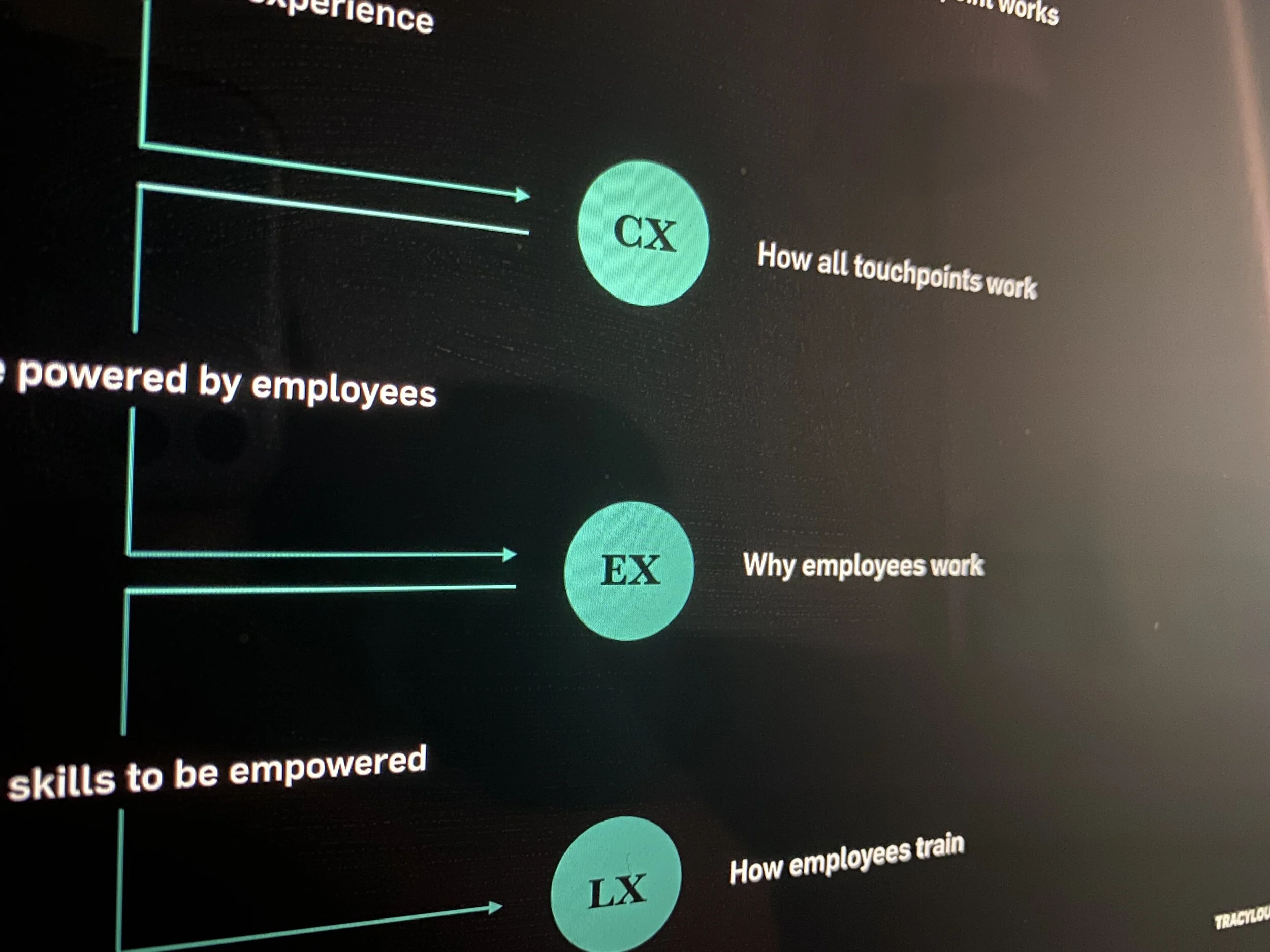 How UX, CX, EX and LX connect