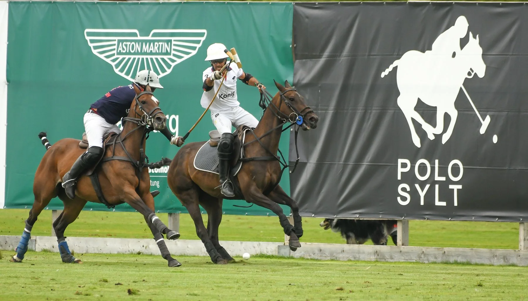 Berenberg German Polo Masters 2023-7046.jpg