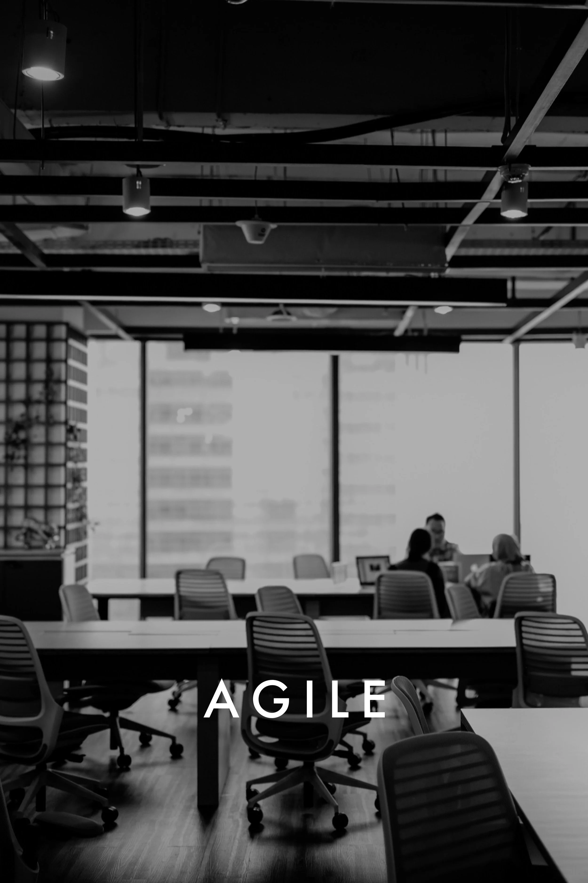 duo_sales_conulting_agile.jpg