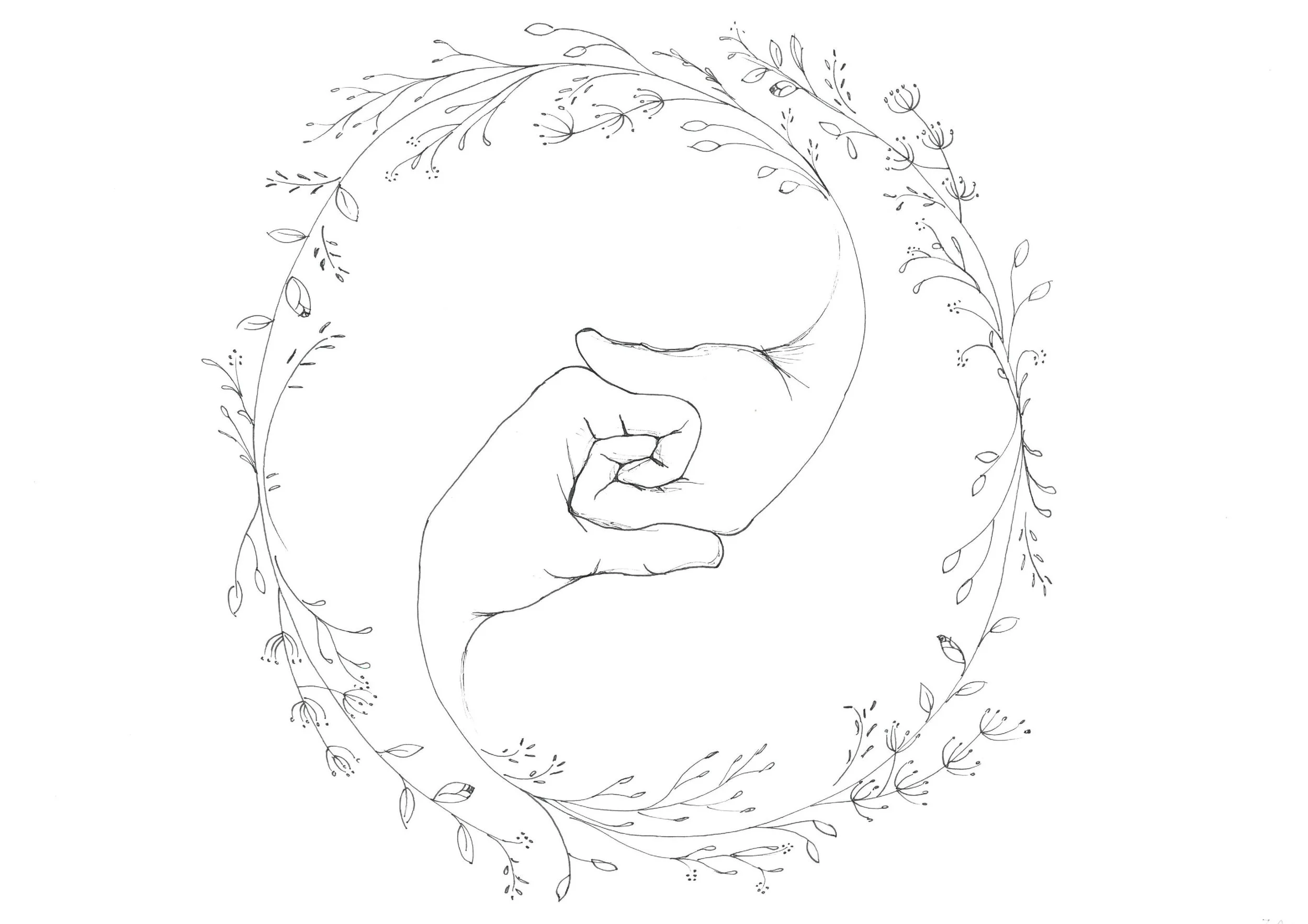 LOGO .jpg