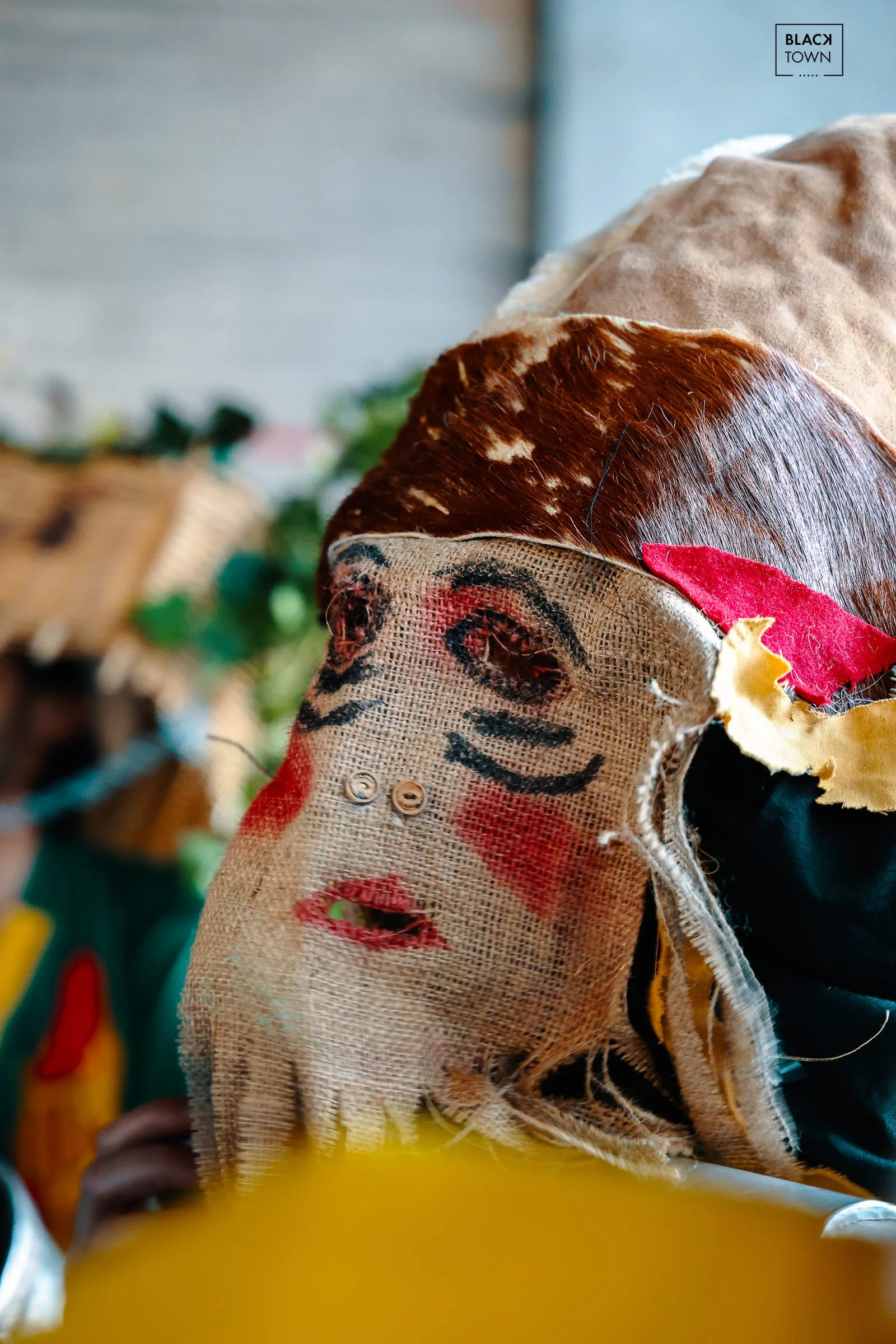 Carnaval Sauvage 2026 Blacktown Studio10.jpg