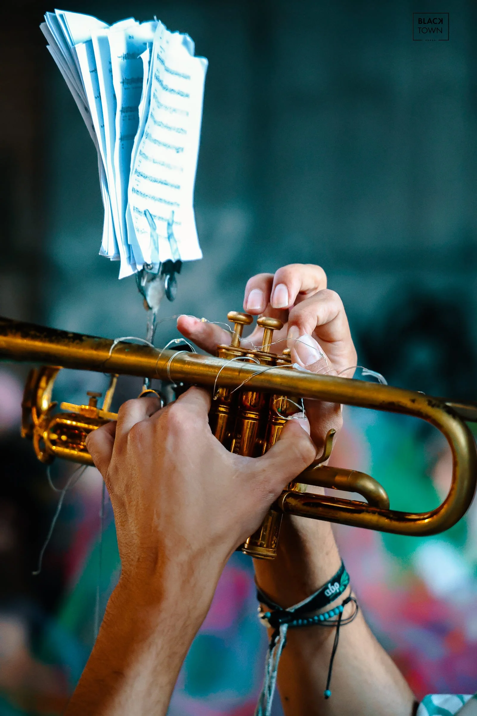 Carnaval Sauvage 2026 Blacktown Studio11.jpg