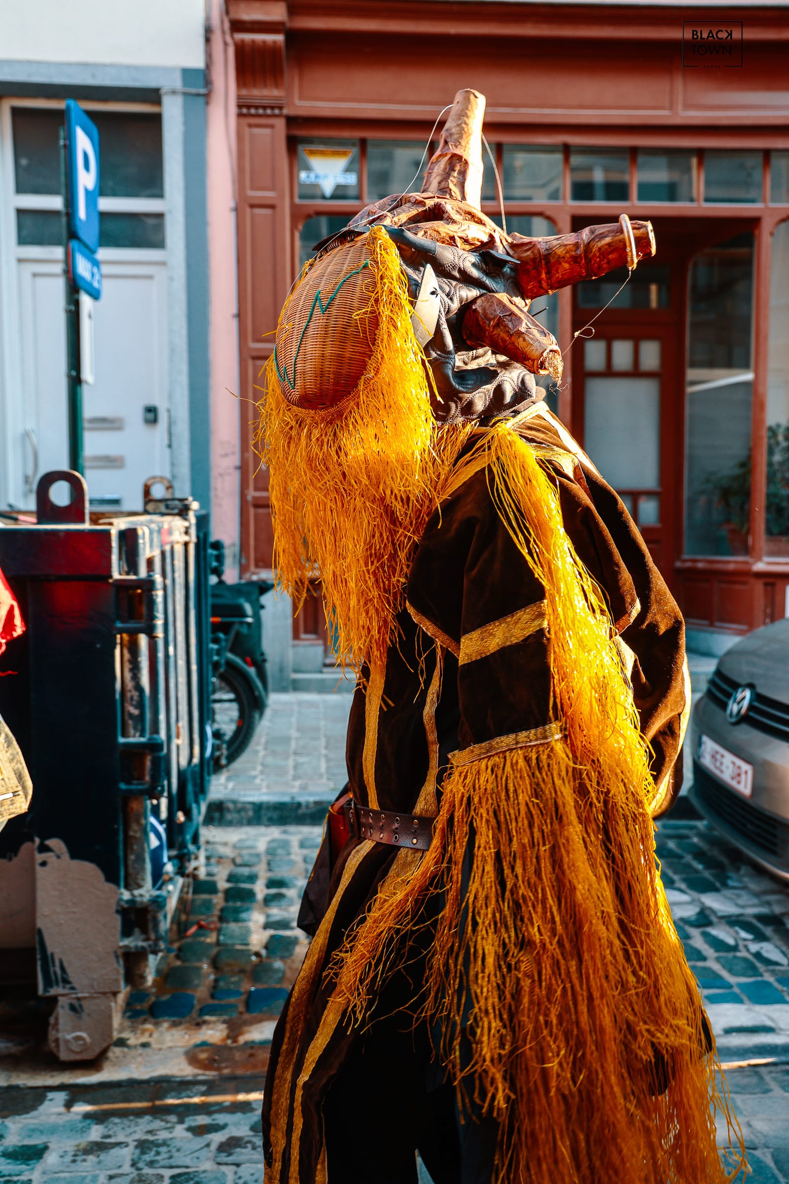 Carnaval Sauvage 2026 Blacktown Studio21.jpg