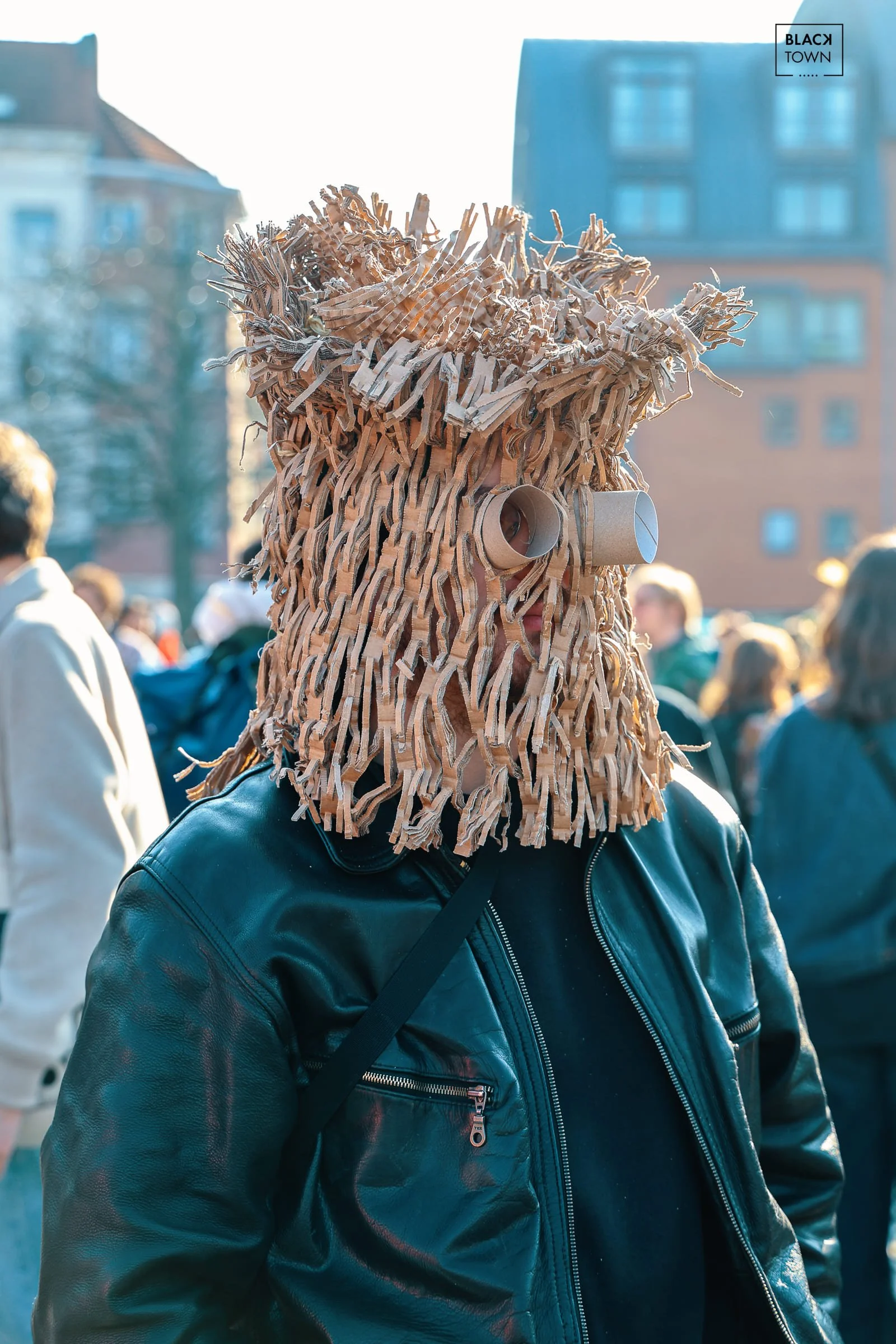 Carnaval Sauvage 2026 Blacktown Studio33.jpg