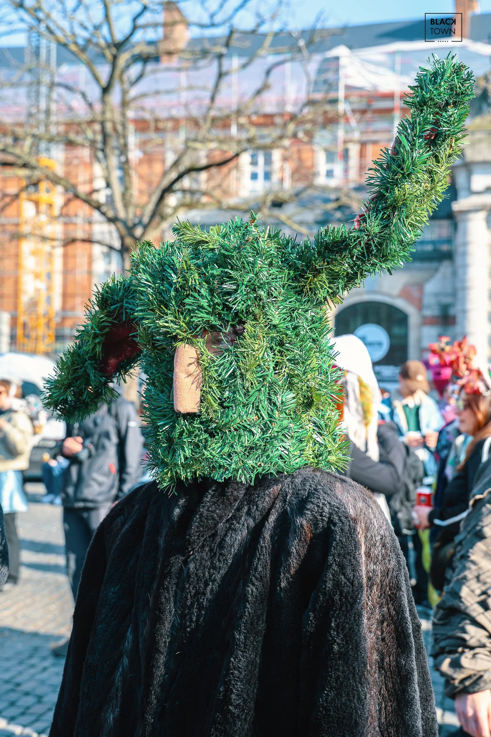 Carnaval Sauvage 2026 Blacktown Studio34.jpg