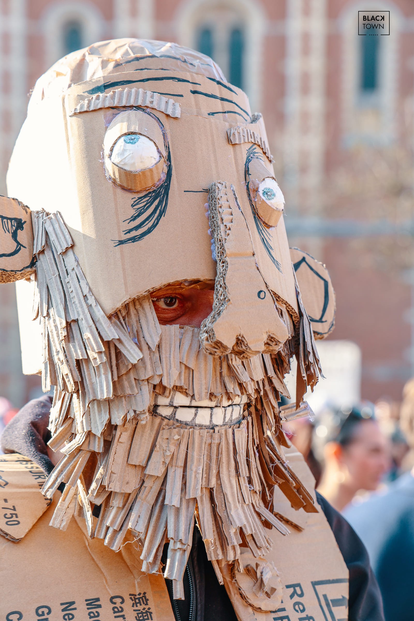 Carnaval Sauvage 2026 Blacktown Studio35.jpg