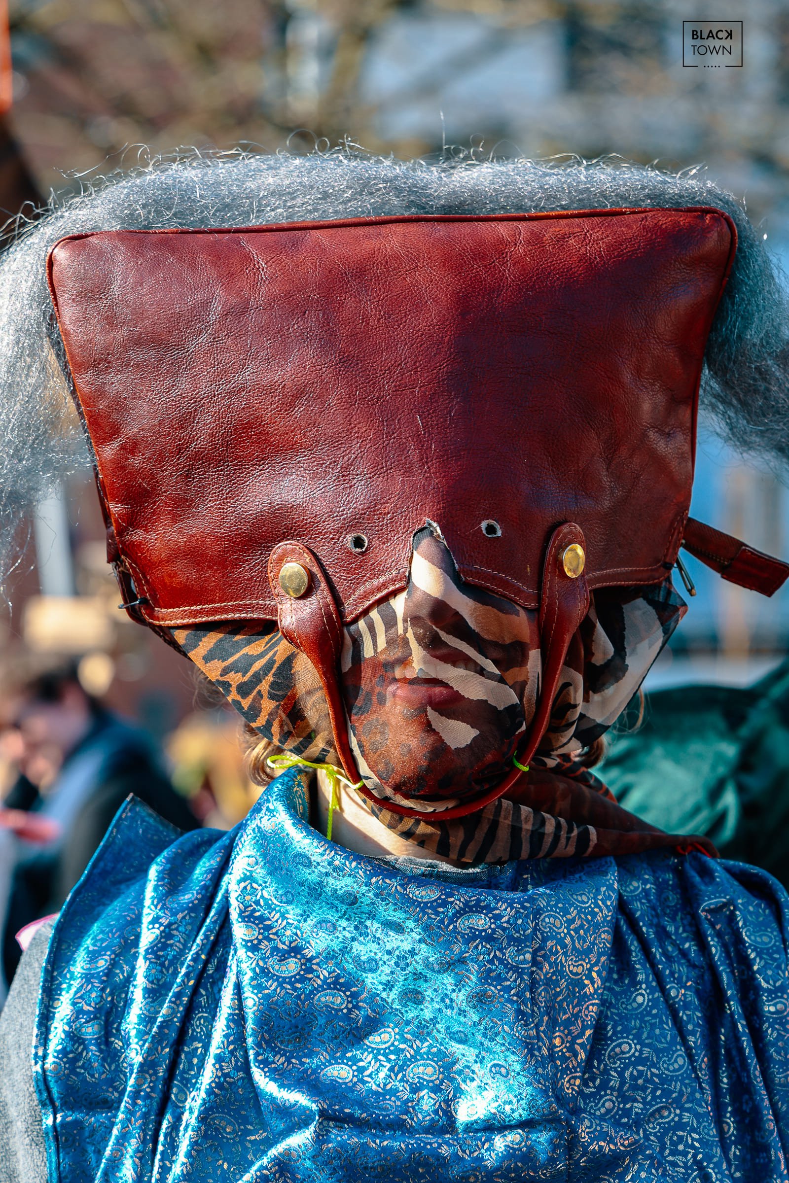 Carnaval Sauvage 2026 Blacktown Studio47.jpg