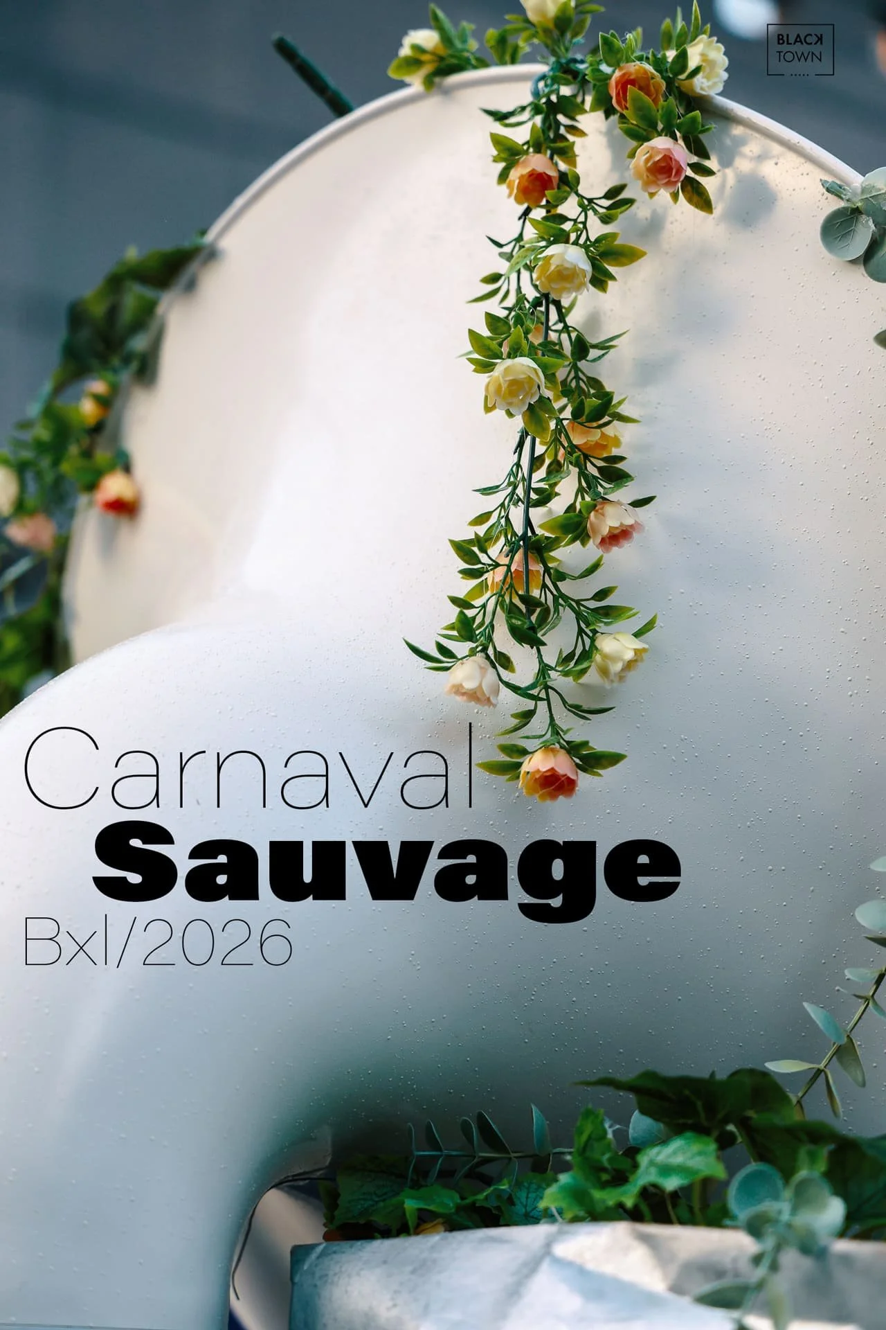 Carnaval-Sauvage-2026-Blacktown-nejm halla Studio7.jpg