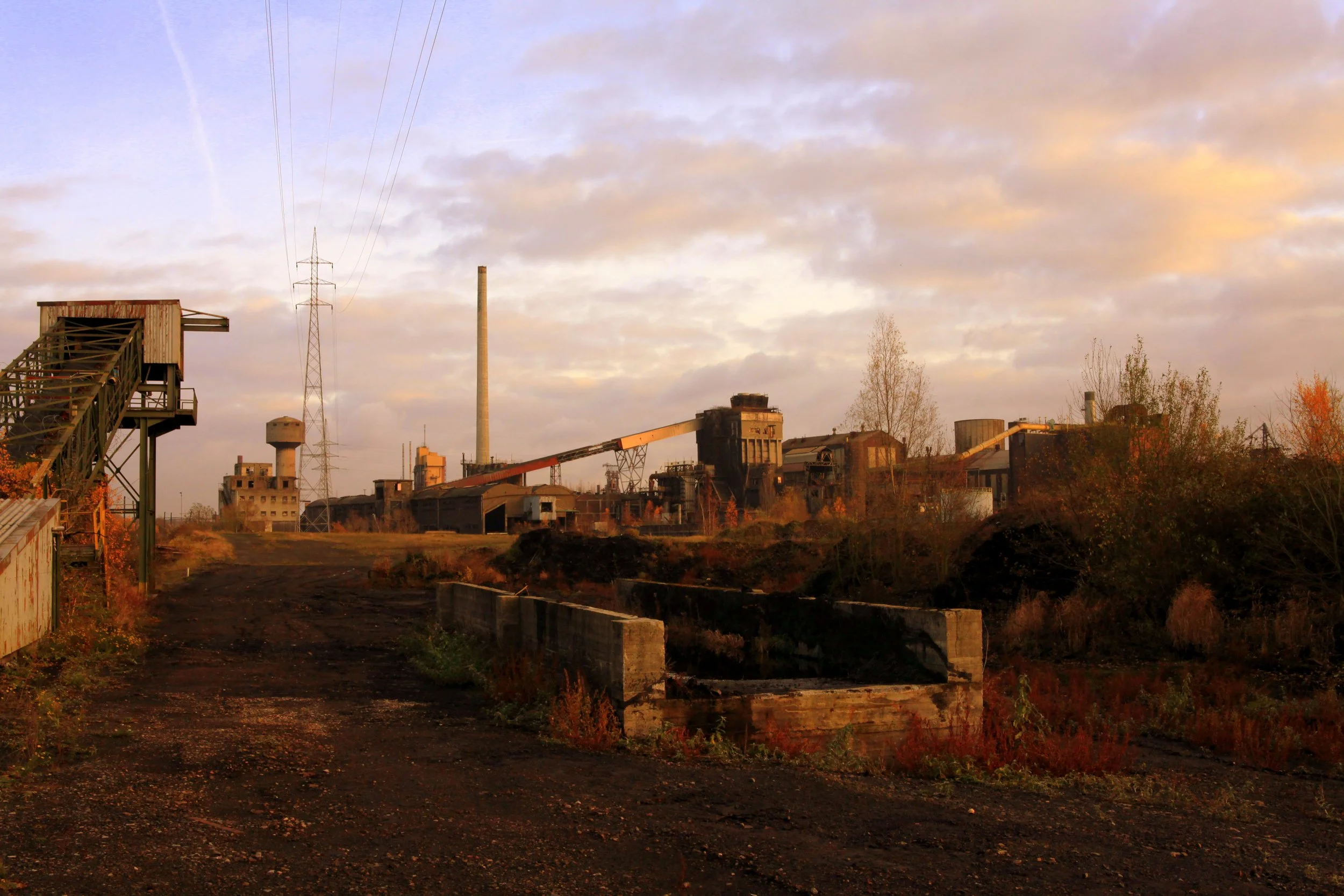 Videaste photographe pro Blacktown Bruxelles.jpeg