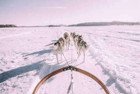 Mountain Madness dog sled tour Övertorneå