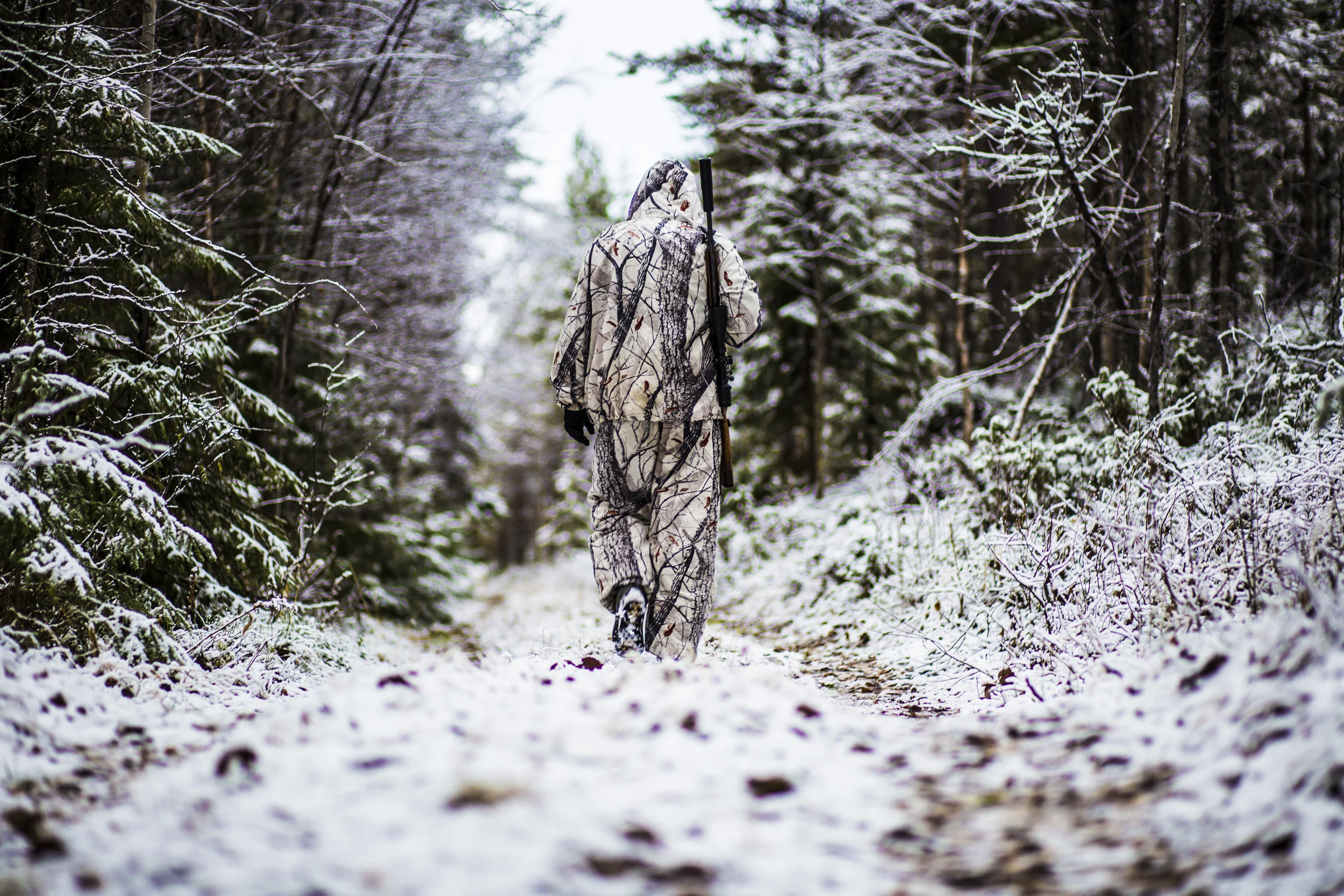 Forest hunting Rantajärvi Vildmark Övertorneå