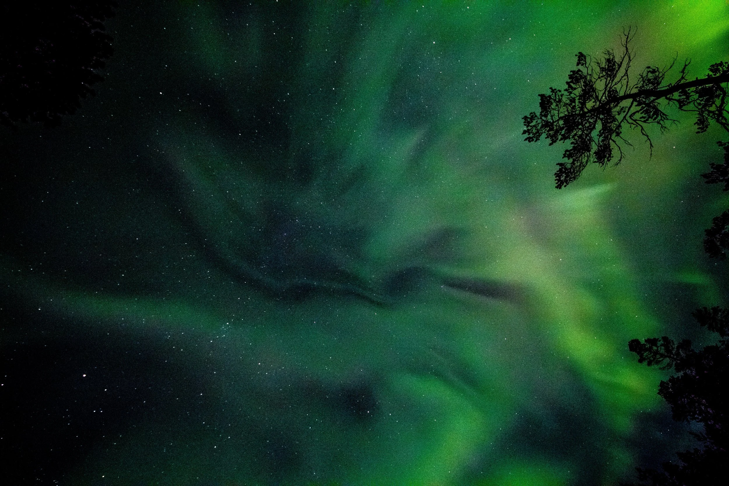 Northern lights tour Övertorneå