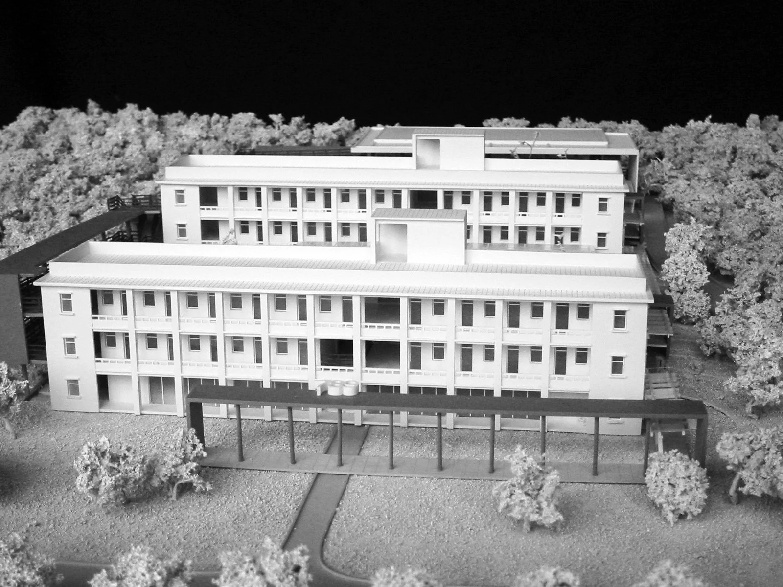 ADA_Shantou Uni4.JPG