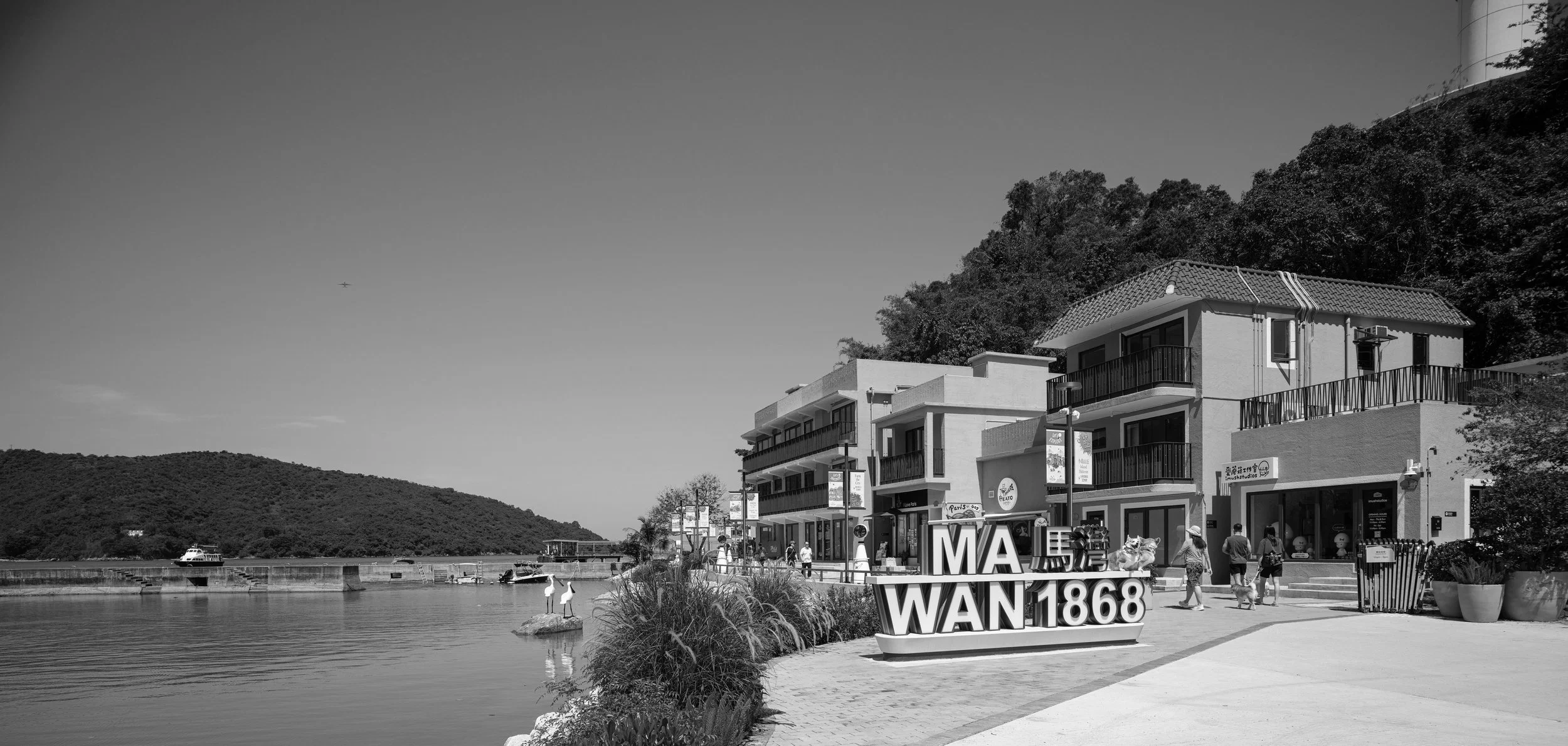 MW-0265 BW.jpg
