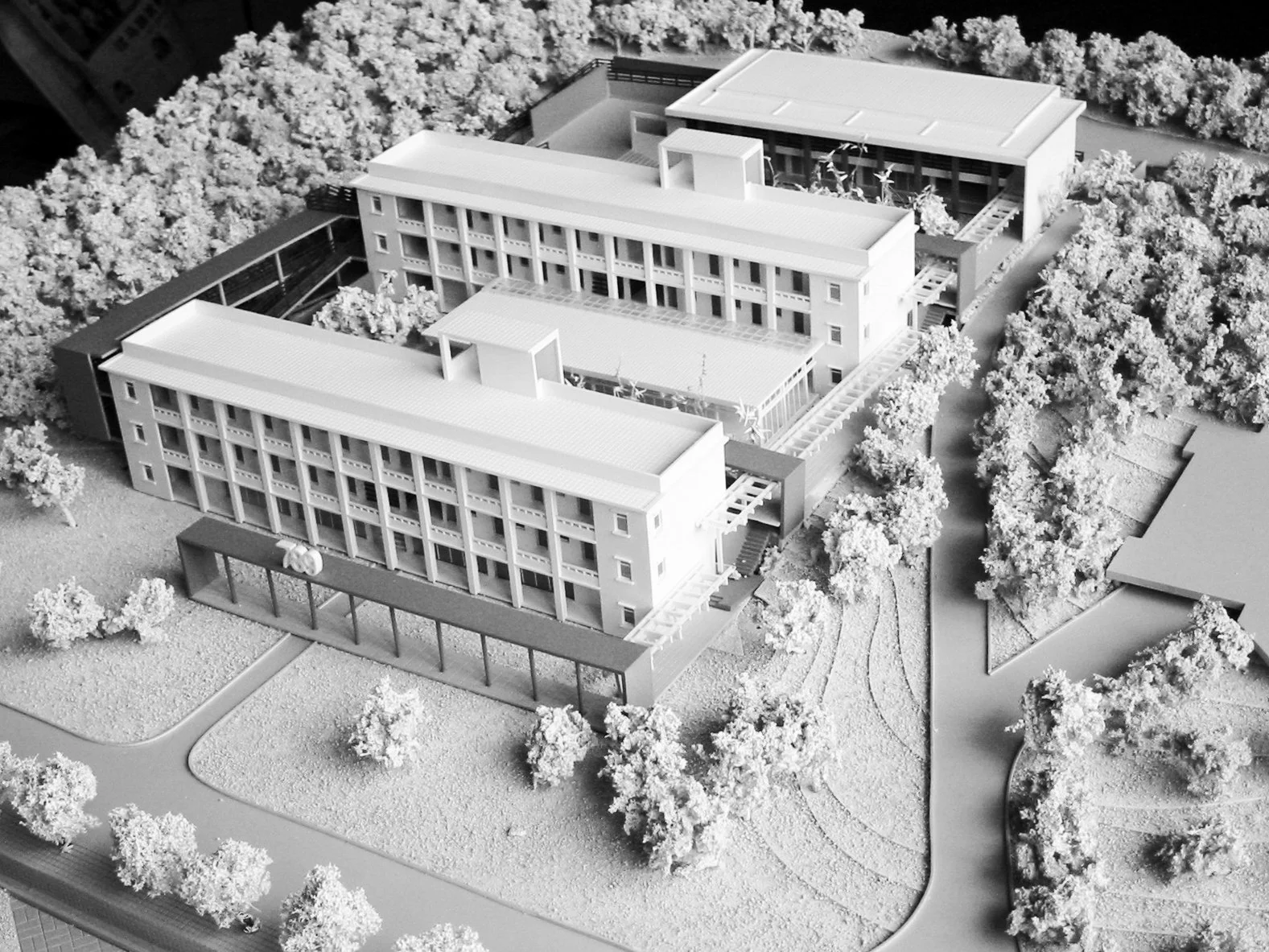 ADA_Shantou Uni5.jpg