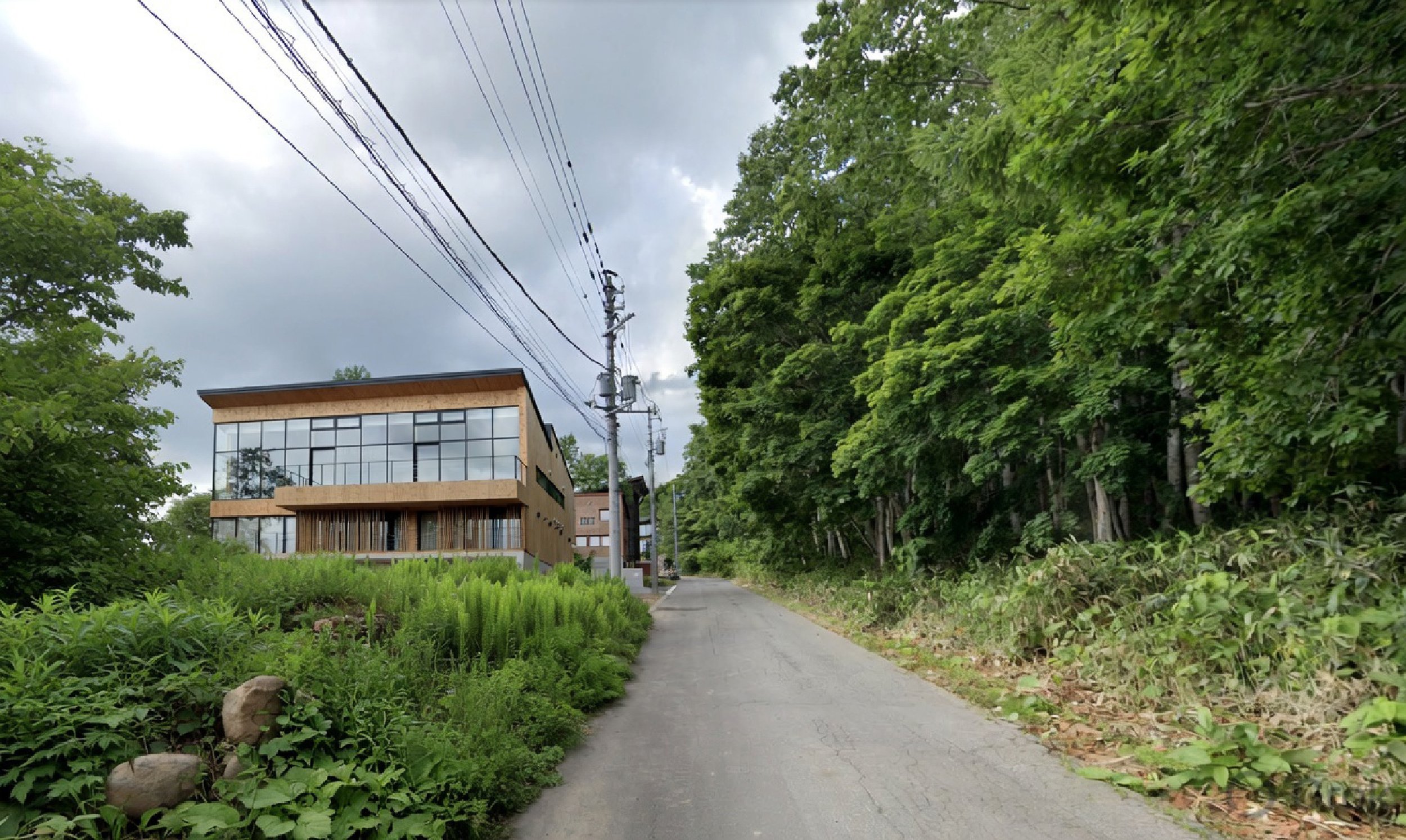 niseko_02 with trees.png