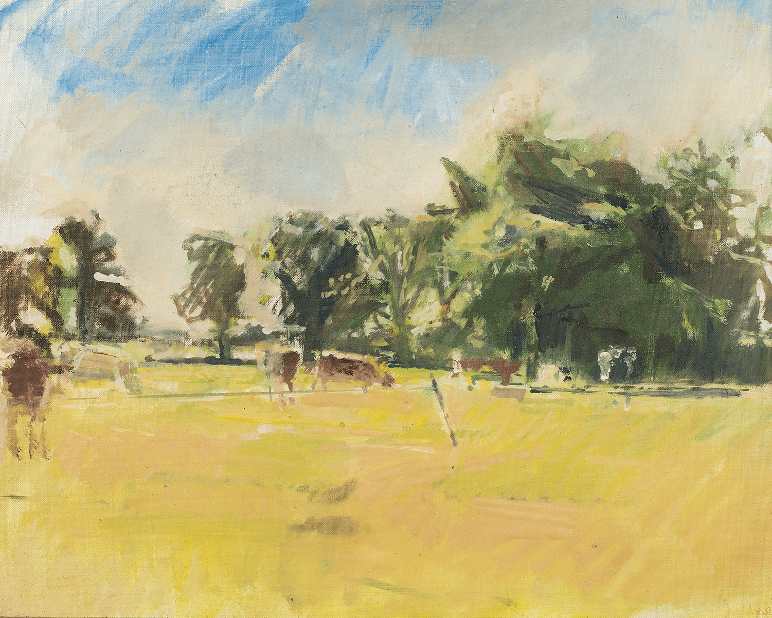Cows in field, Inglefield