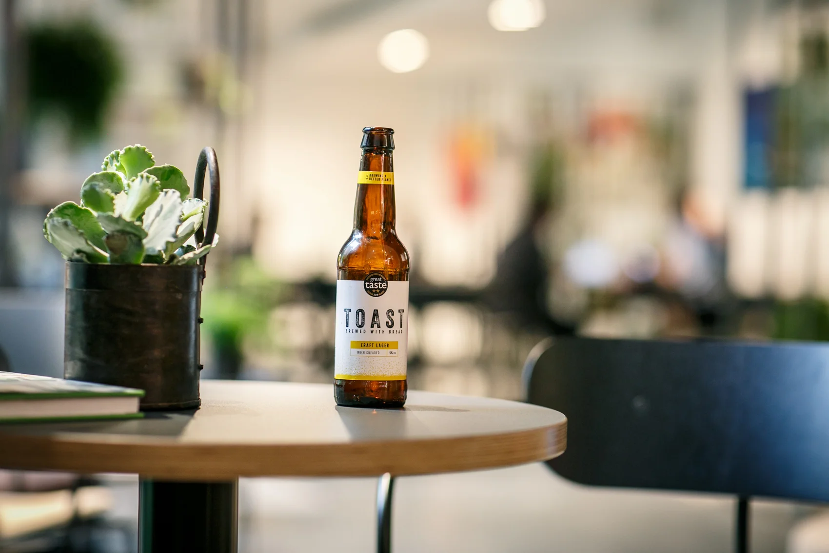 Toast Beer from the Honesty Bar.jpg