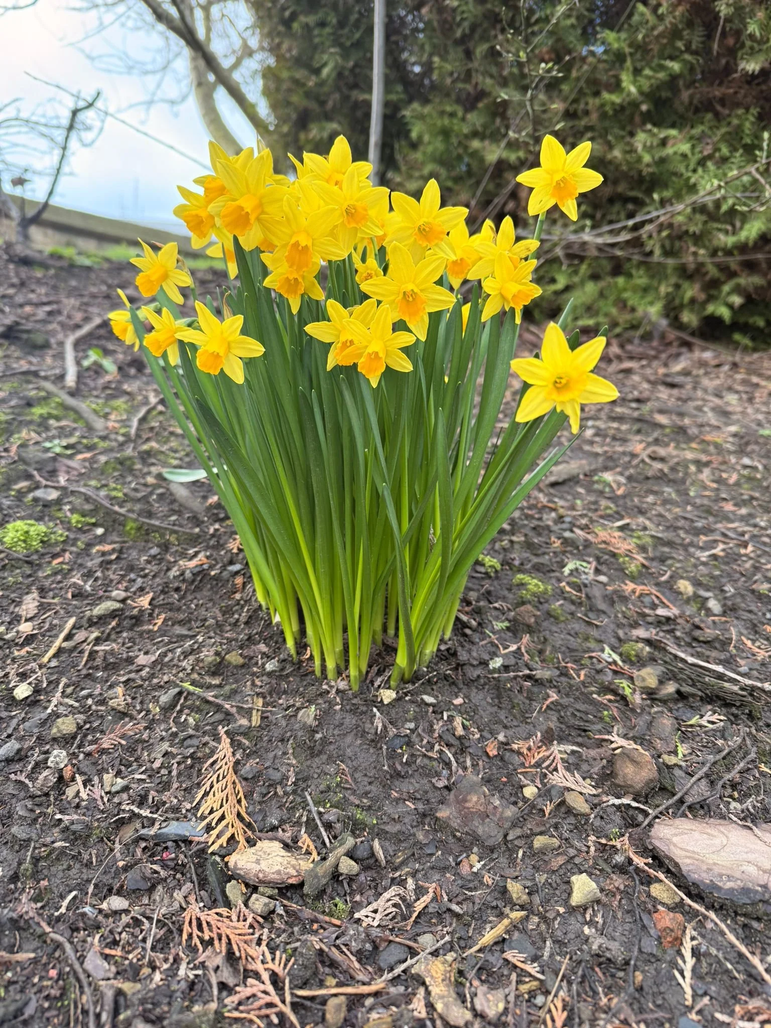 WhatsApp Image 2026-02-25 at 12.38.20.jpeg