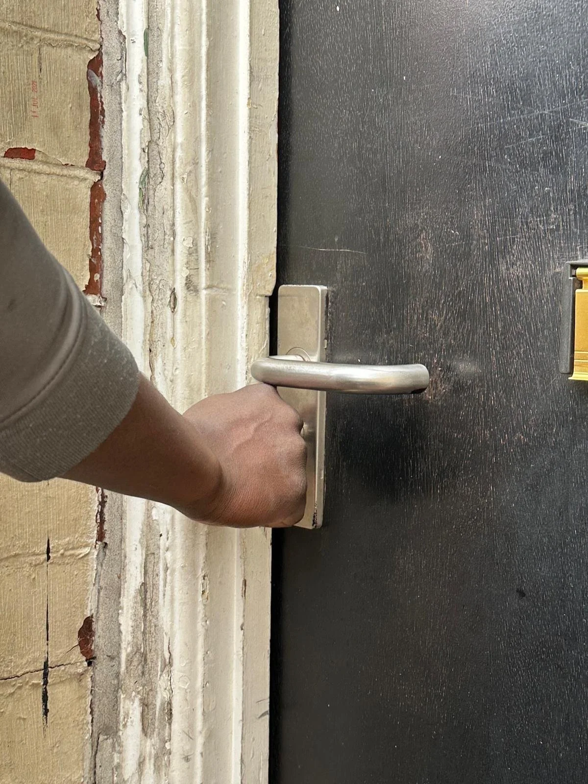 WhatsApp Image 2026-03-11 at 11.16.25.jpeg