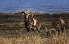 Experience | Eriksberg Hotel & Nature Reserve