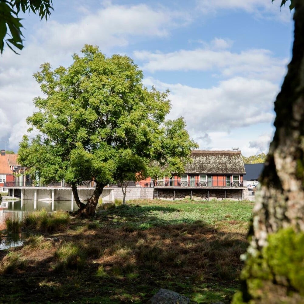 hotellbyggnader-exterior-Eriksberg_hotell_safaripark-Blekinge-002-1500px.jpg