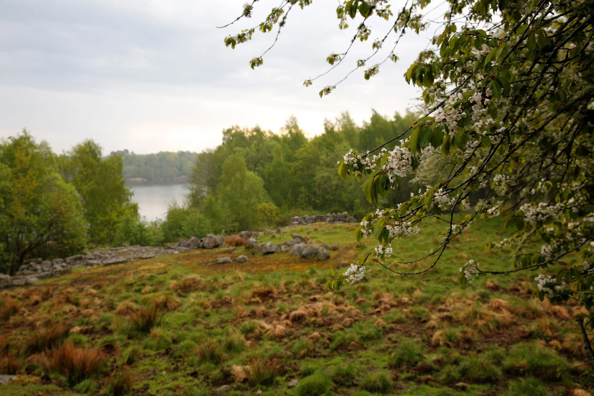 Bli en kusträddare! 