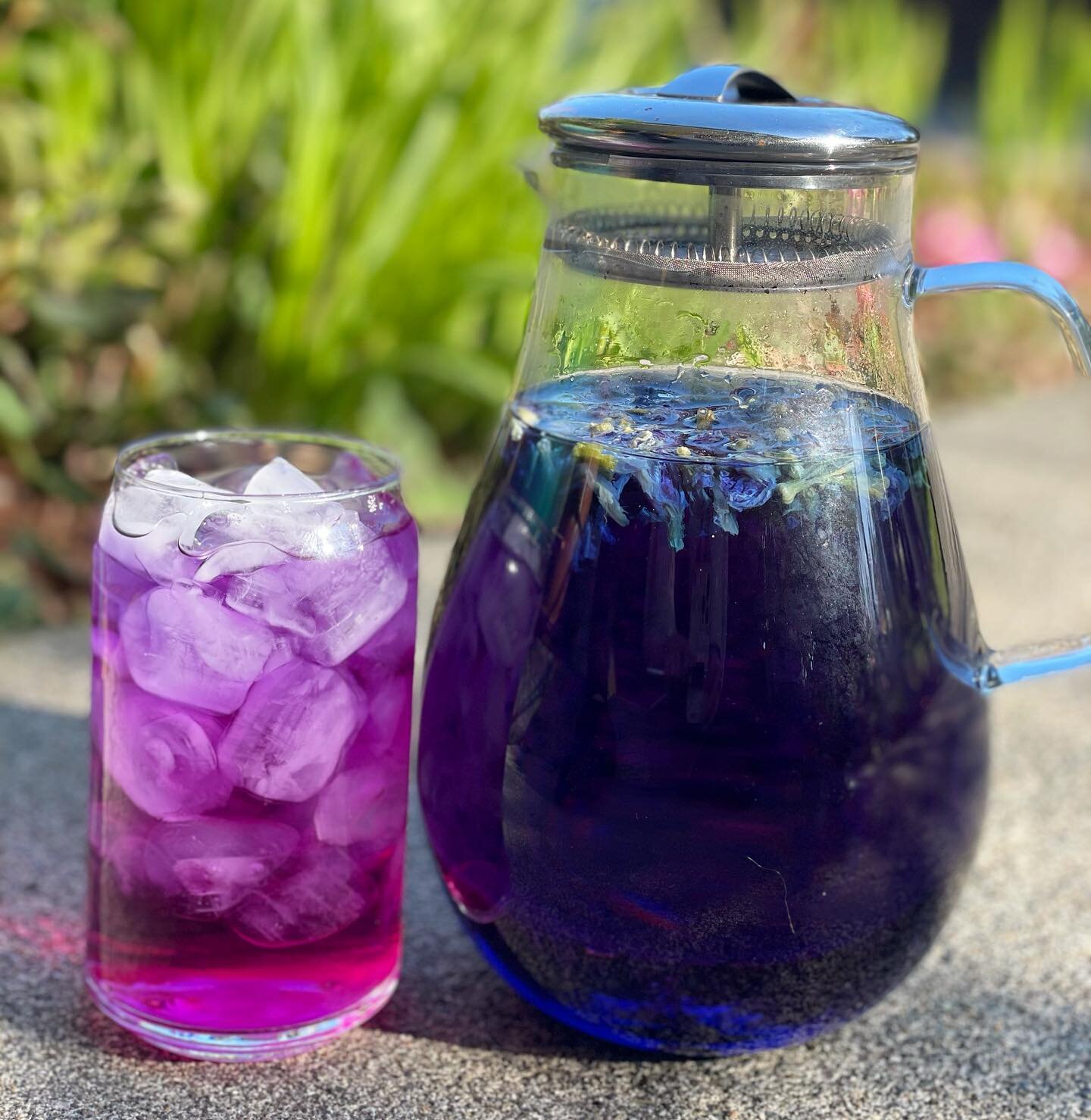 Cosmic Lemonade 🍋💜

So nice to take a moment just sitting on my front porch and drinking some lemonade!

This one is simple, our Butterfly Pea Flower (available in the Spring Spice Kit) and some lemon juice or citric crystals... if desired you can 