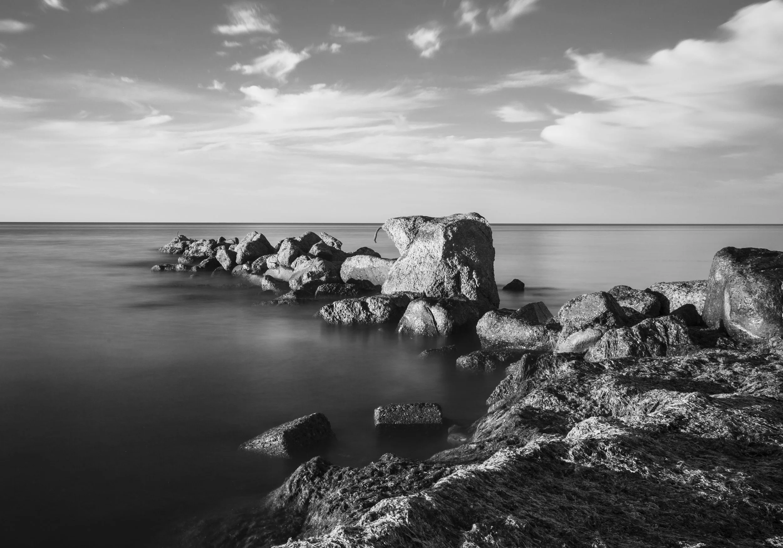 _MG_5279.jpg
