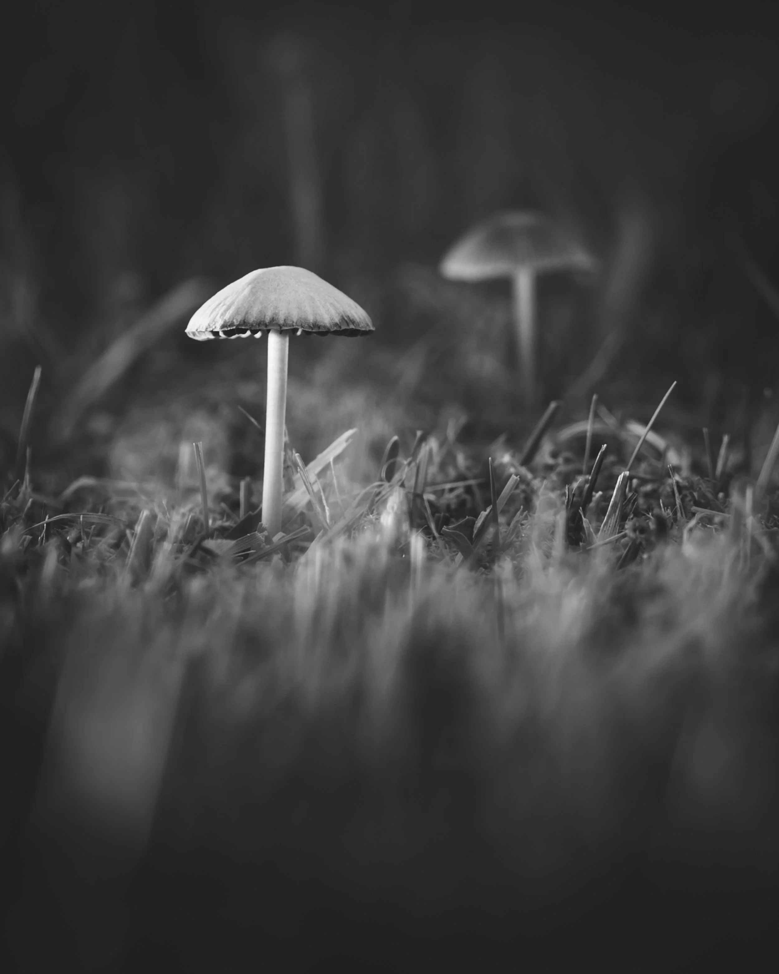 _MG_9613.jpg