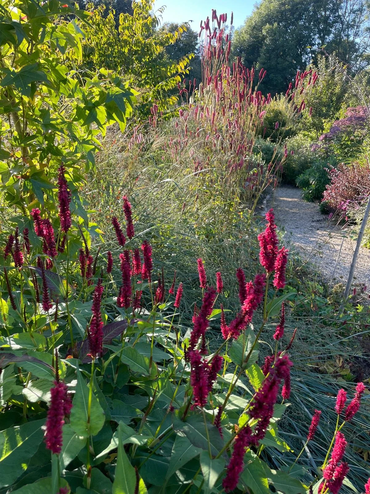 WhatsApp Image 2026-03-23 at 21.40.42 (2).jpeg