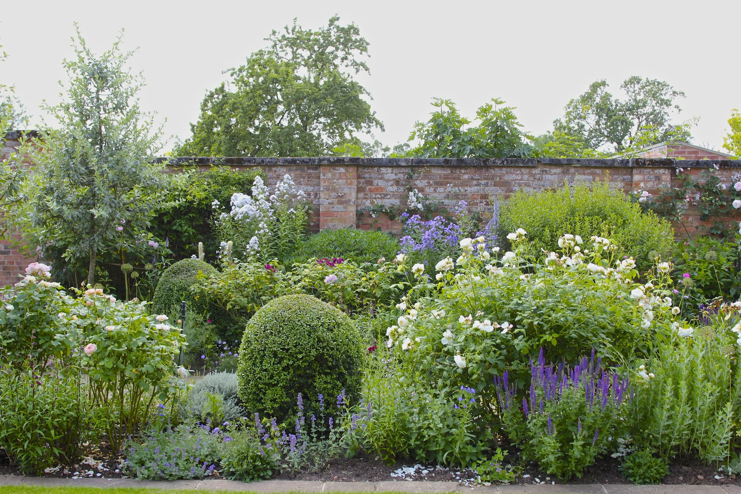 flowers 1.jpg