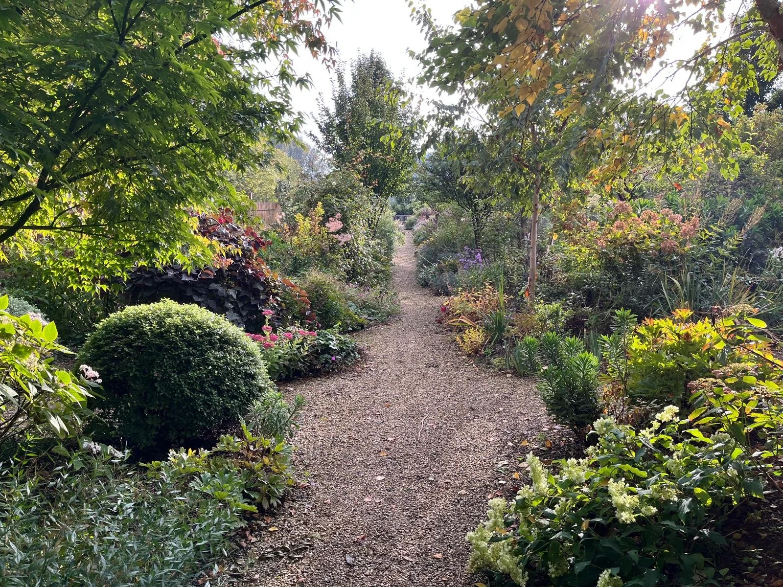 WhatsApp Image 2026-03-23 at 17.40.27.jpeg