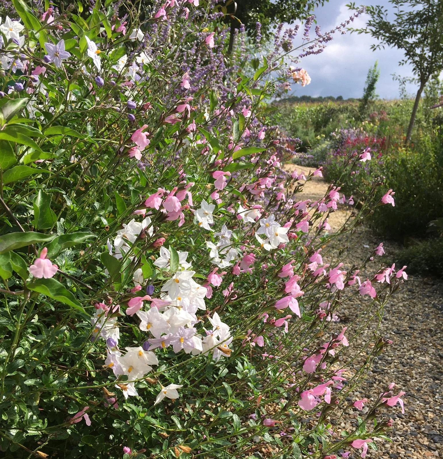 WhatsApp Image 2025-12-11 at 12.41.16 (1).jpeg