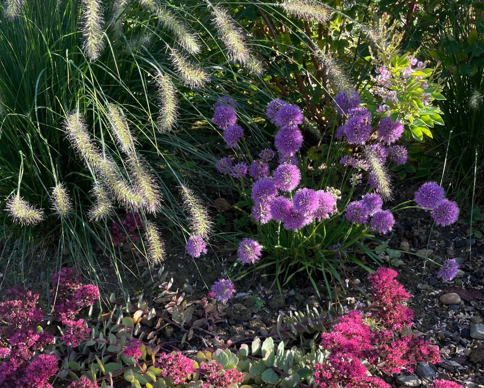 WhatsApp Image 2026-03-23 at 21.40.42 (3).jpeg