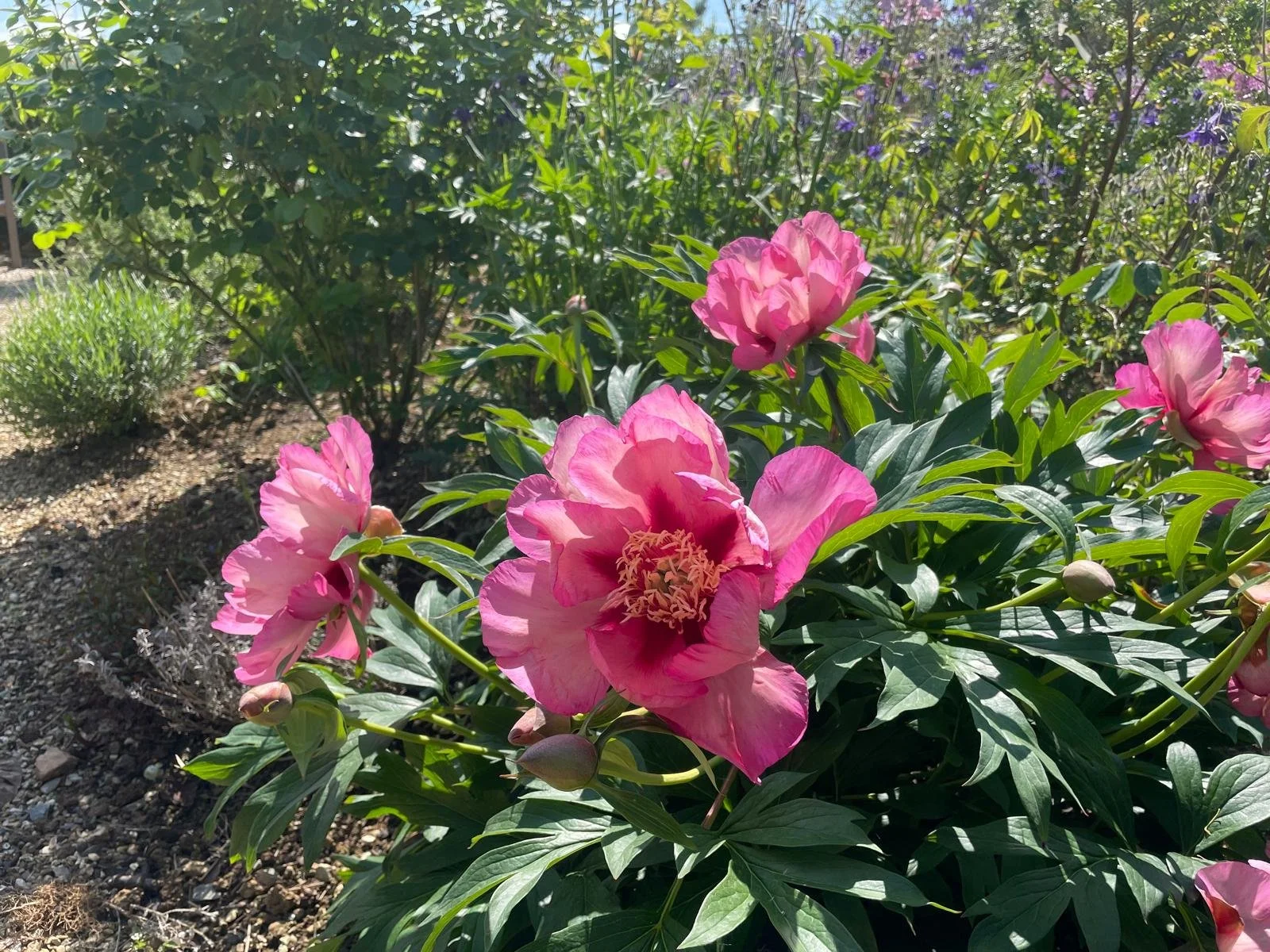 WhatsApp Image 2026-03-23 at 21.40.42 (4).jpeg