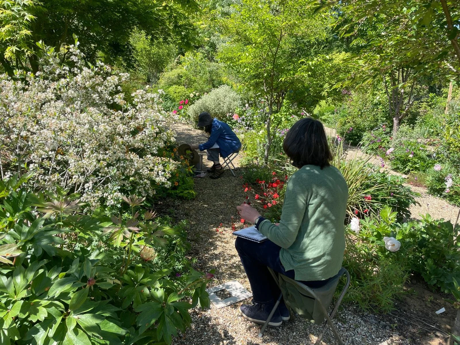 WhatsApp Image 2026-03-23 at 17.22.30.jpeg