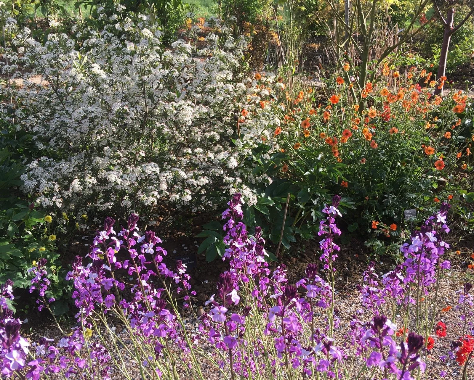 WhatsApp Image 2025-12-11 at 12.41.16.jpeg