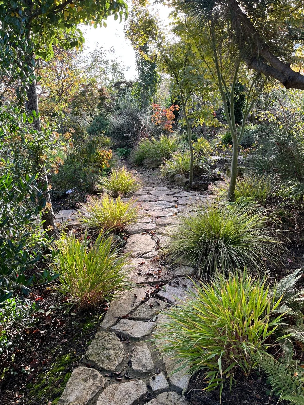 WhatsApp Image 2026-03-23 at 17.38.54.jpeg