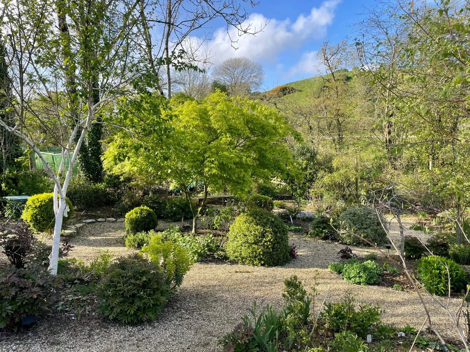 WhatsApp Image 2025-12-11 at 12.41.17 (3).jpeg