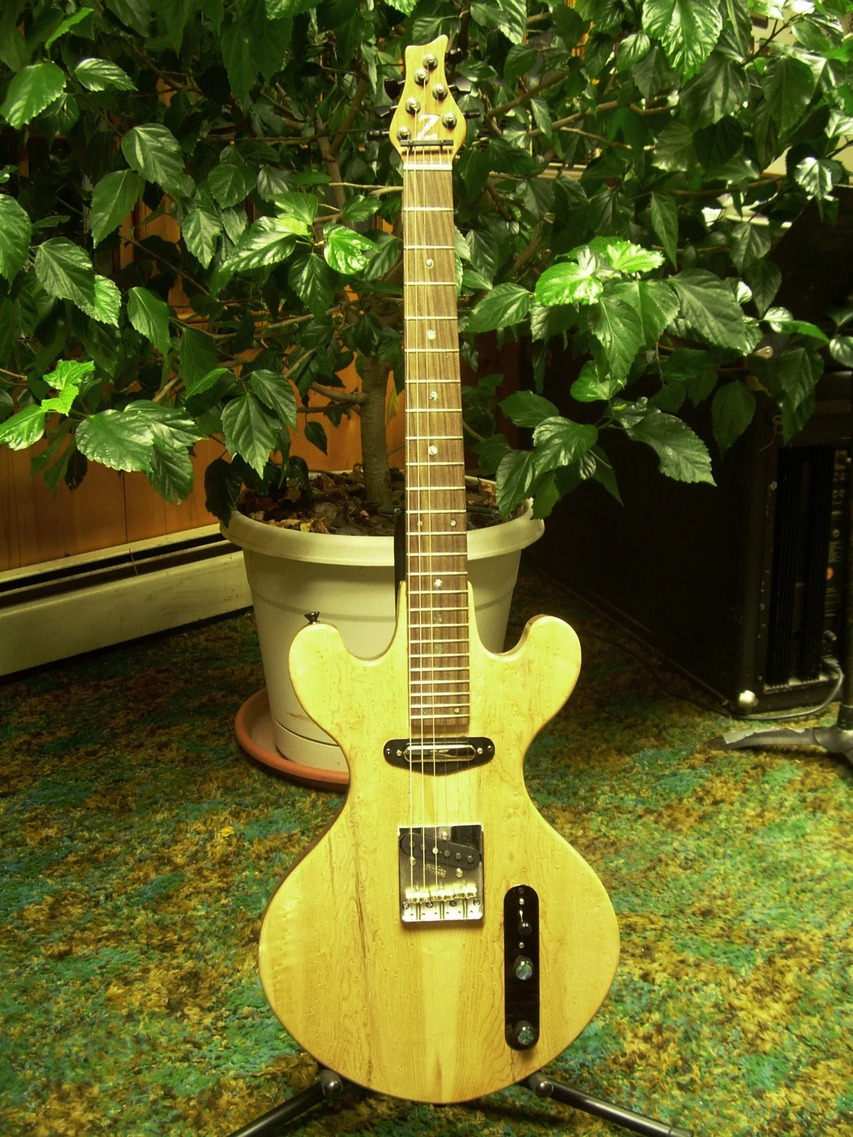 Birdseye Maple body front, Rosewood fretboard