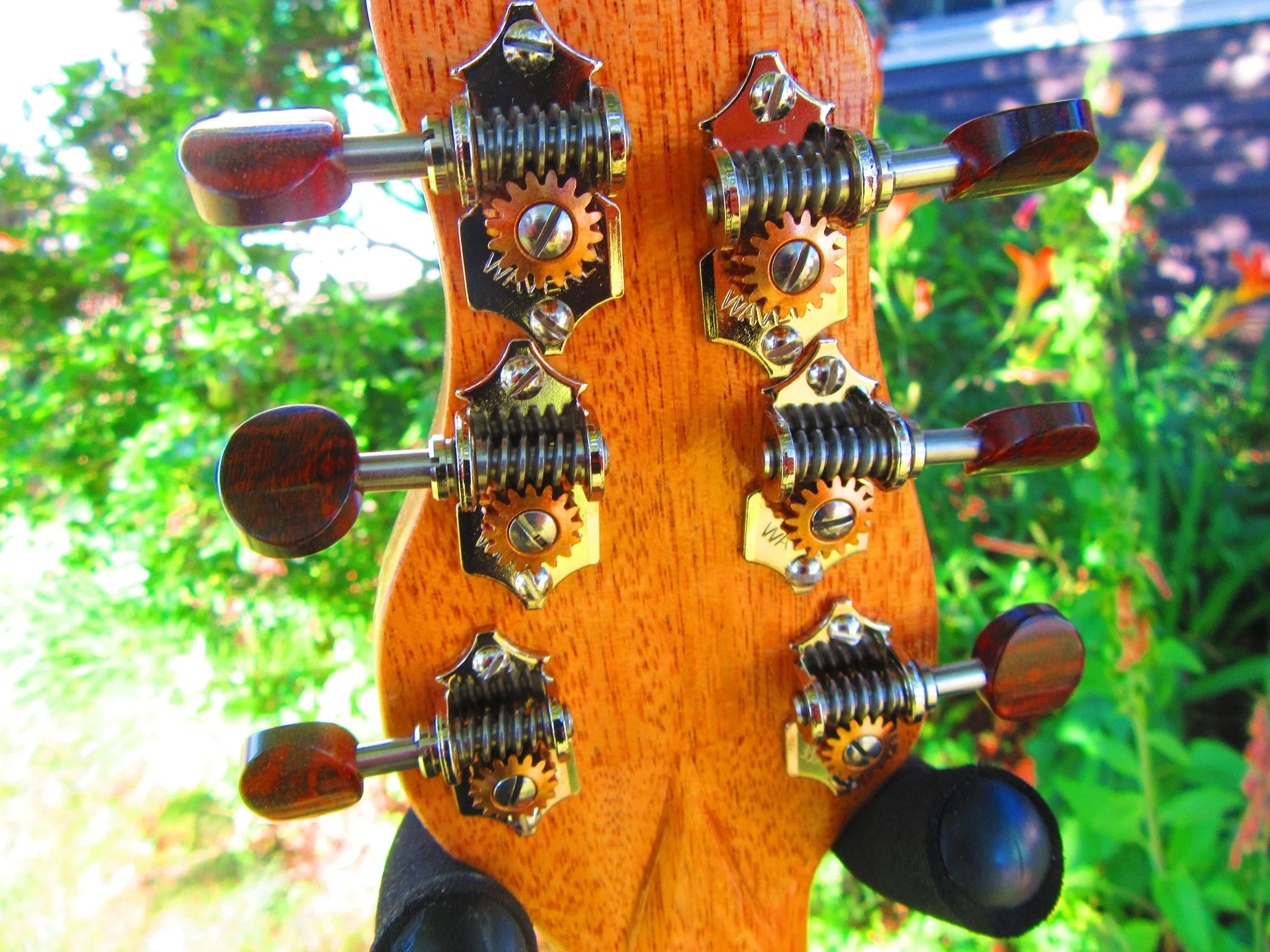 Snakewood tuners