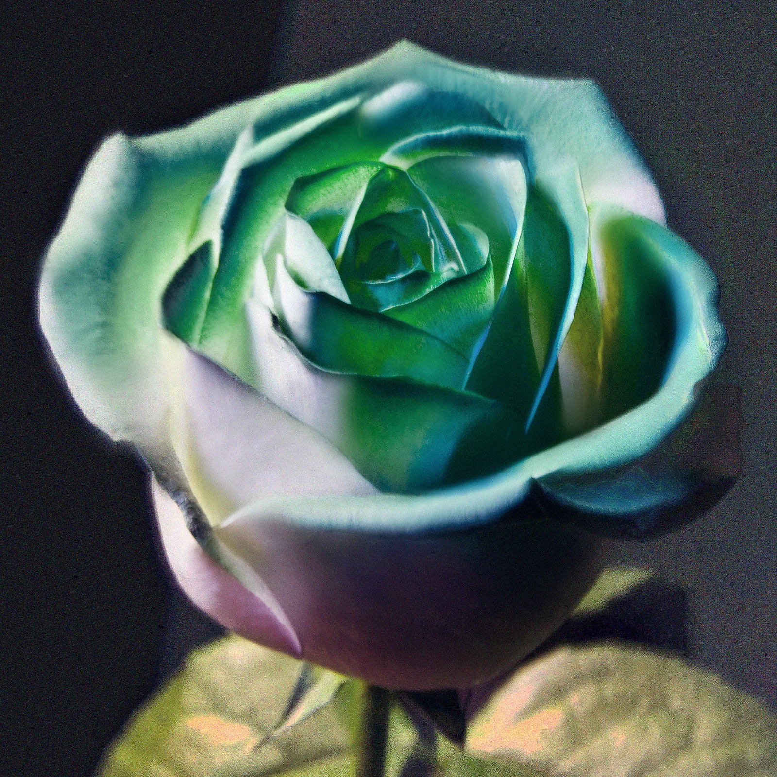LB3O0929c.jpg