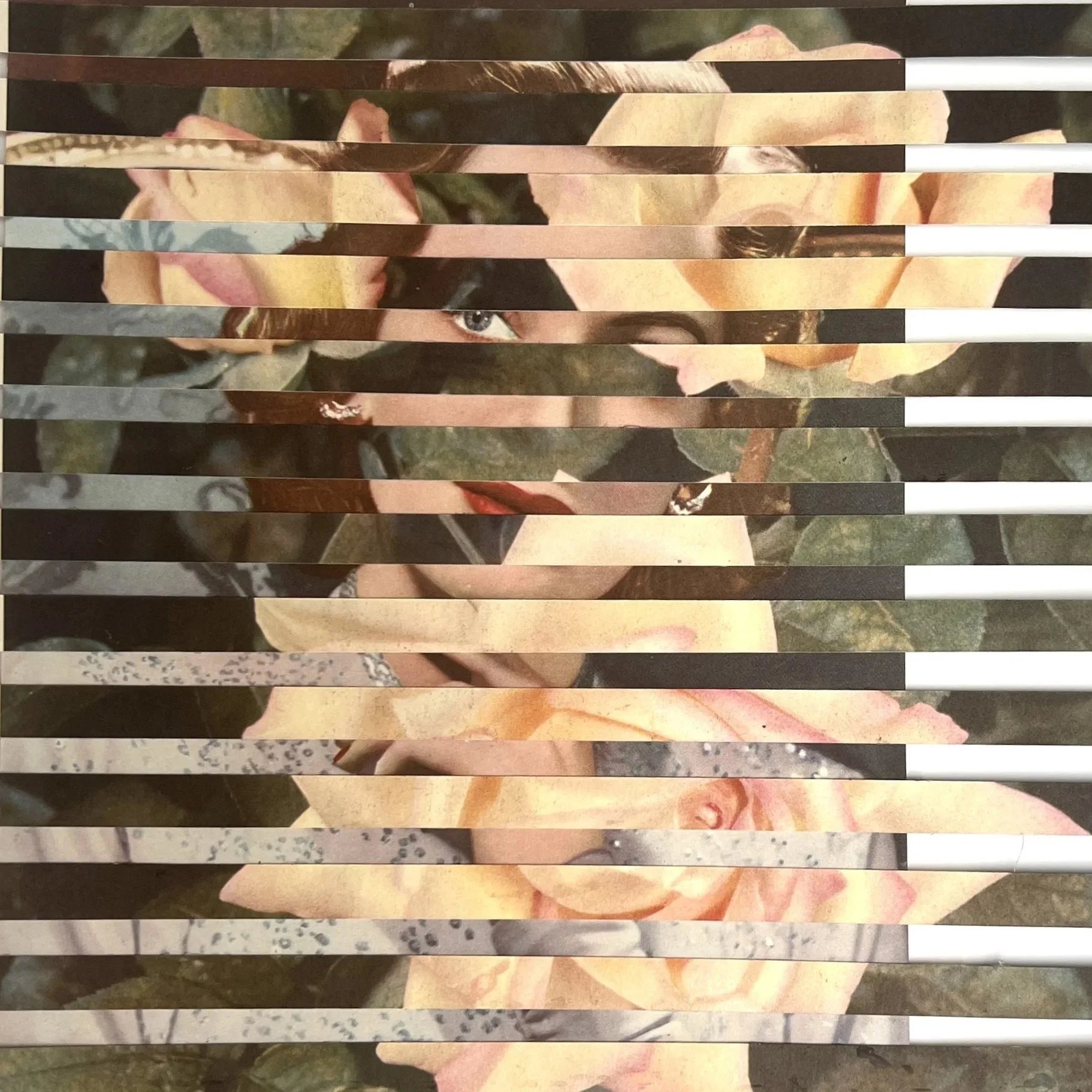 A278678B-3FCD-443D-9DA9-0DC2F83E2E46_1_201_a.jpg
