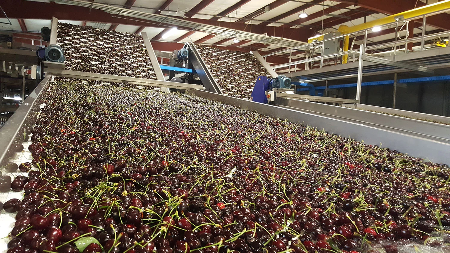 2016-Cherry-Line-Regina.jpg