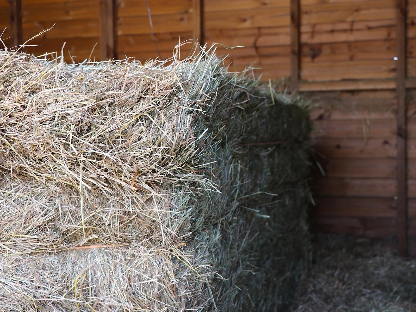 Hay 2.jpg