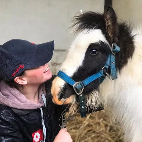 Squeak enjoying some love and attention at Help for Horses UK