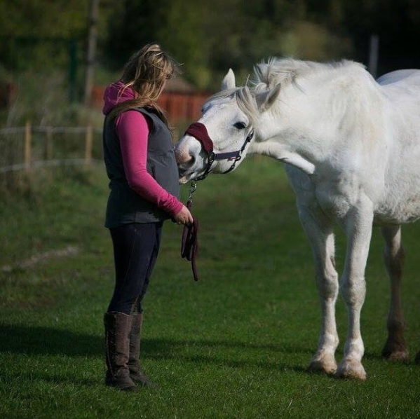 Noble and his new owner at Help for Horses UK