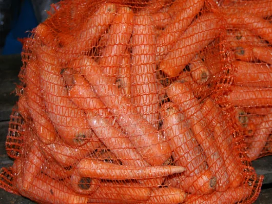 Horse carrots.jpg